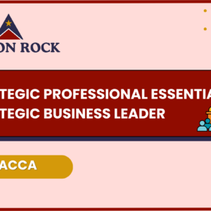 Strategic Business Leader